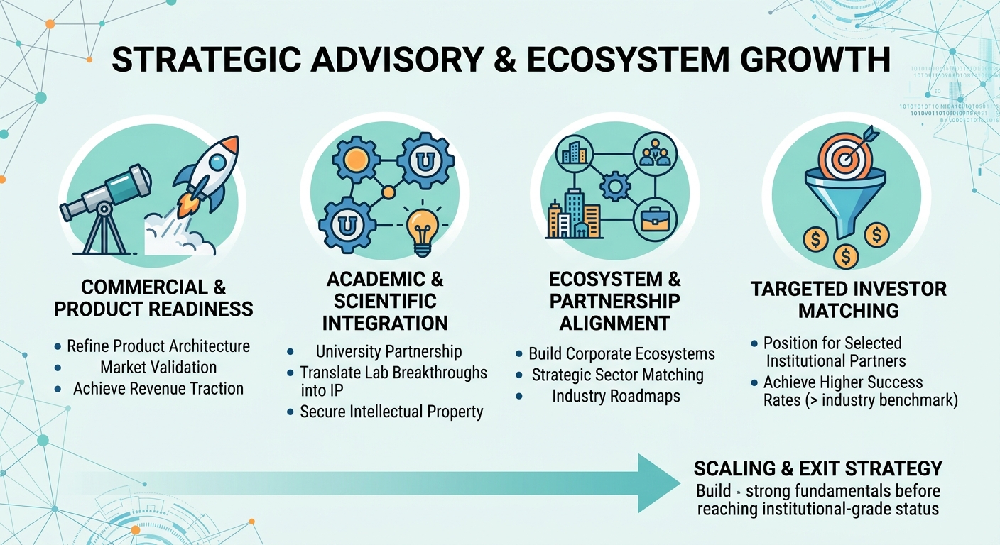 Strategic Advisory Beyond Traditional Venture Capital for Scale-Ups and Research Spin-Outs Kenya